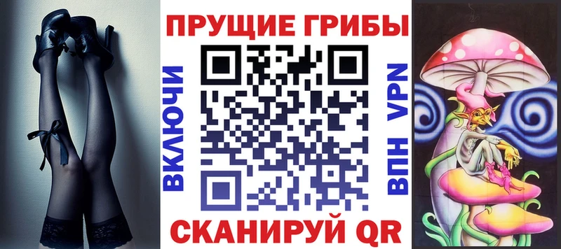 Купить где  Полесск  Галлюциногенные грибы Cubensis 